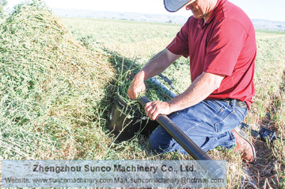 wet alfalfa,grass, forage