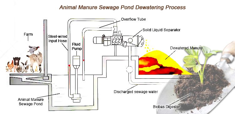 Chicken Manure Dewatering Machine